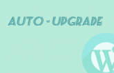 To Configure Auto Updates in Wordpress